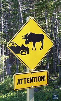 [Image: warning_animals_moose2.jpg]
